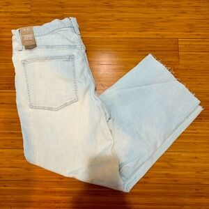 Madewell 31 Vintage wide-leg Jean